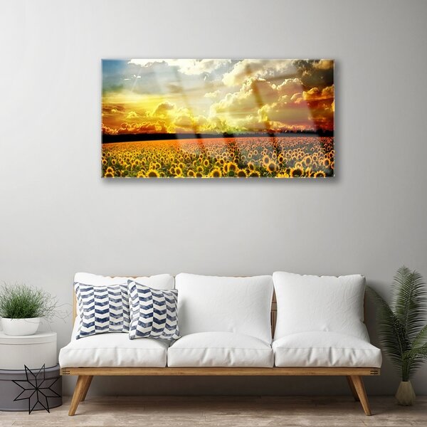 Quadro su vetro Paesaggio del campo di girasoli 100x50 cm 2 appendini