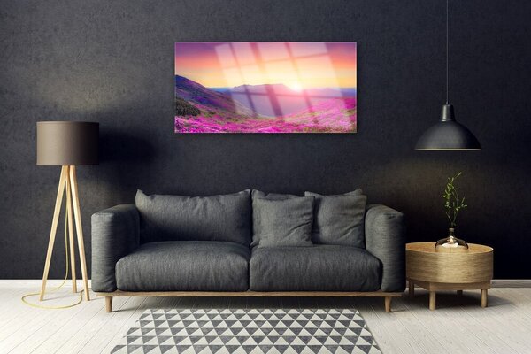Quadro vetro Prato della Montagna del Sole Natura 100x50 cm 2 appendini