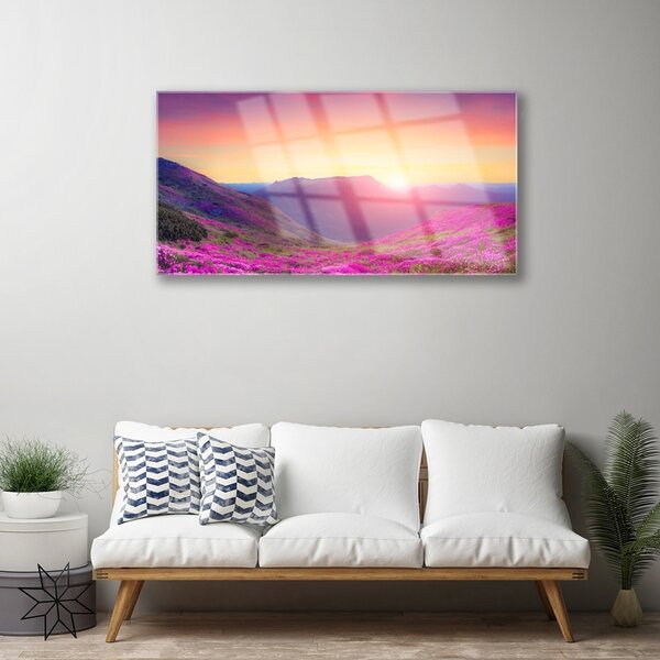 Quadro vetro Prato della Montagna del Sole Natura 100x50 cm 2 appendini