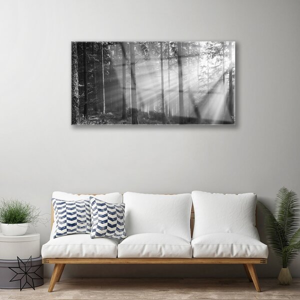 Quadro in vetro Foresta Natura Sole 100x50 cm 2 appendini