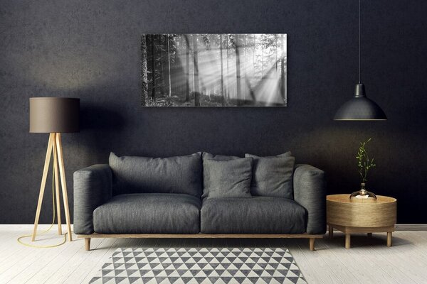 Quadro in vetro Foresta Natura Sole 100x50 cm 2 appendini