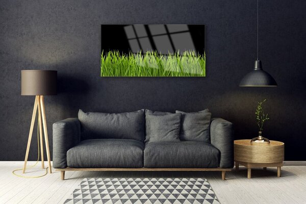 Quadro in vetro Erba verde Natura 100x50 cm 2 appendini