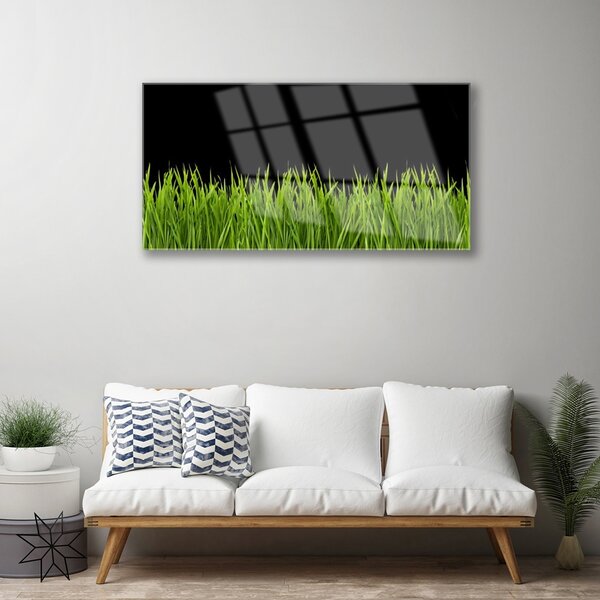 Quadro in vetro Erba verde Natura 100x50 cm 2 appendini