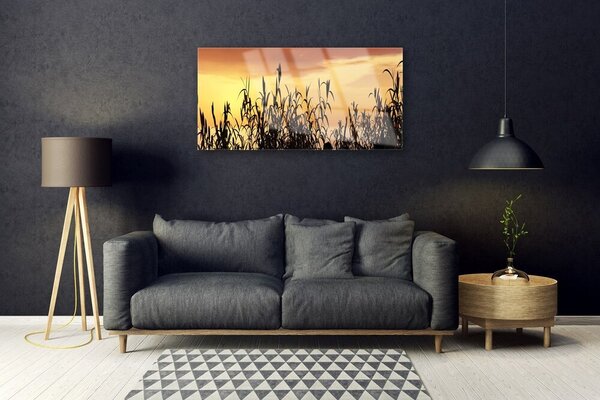 Quadro in vetro Lascia il campo di Prato Ovest 100x50 cm 2 appendini