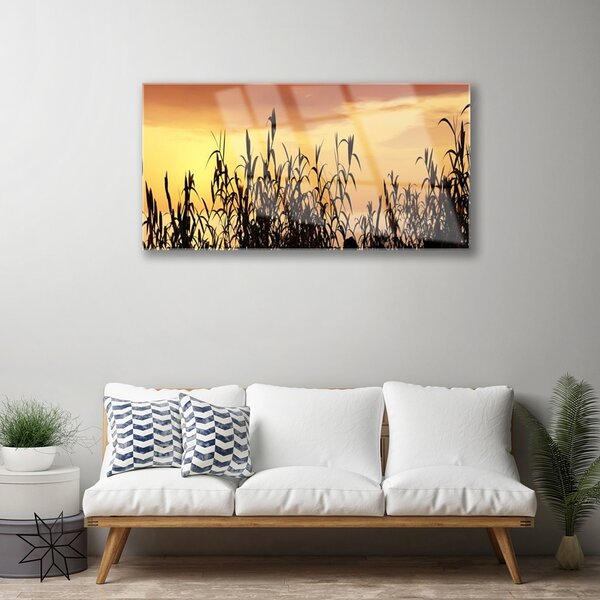Quadro in vetro Lascia il campo di Prato Ovest 100x50 cm 2 appendini