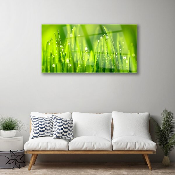 Quadro di vetro Gocce di rosa di erba verde 100x50 cm 2 appendini
