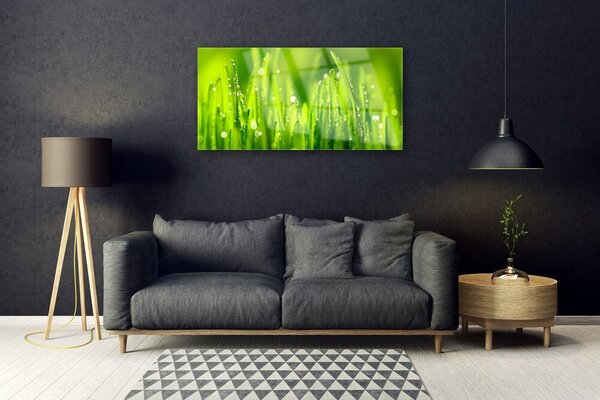 Quadro di vetro Gocce di rosa di erba verde 100x50 cm 2 appendini