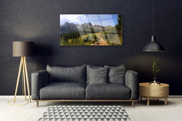 Quadro su vetro Strada Hala Góry Prato naturale 100x50 cm 2 appendini