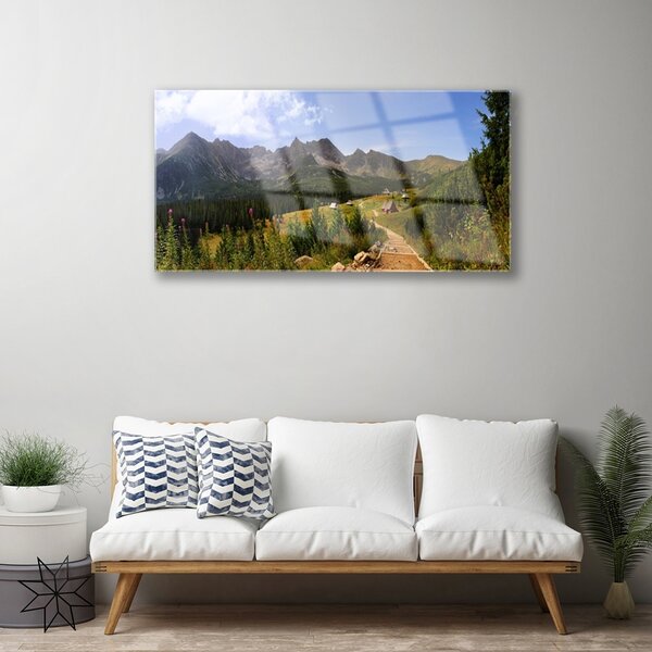 Quadro su vetro Strada Hala Góry Prato naturale 100x50 cm 2 appendini