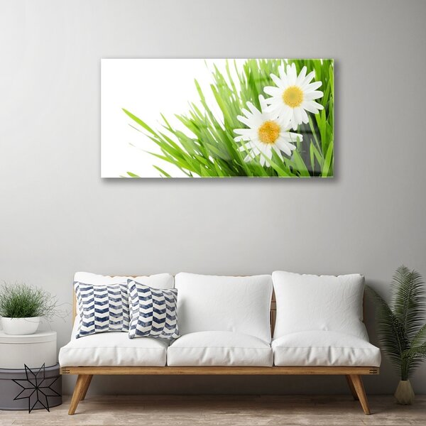 Quadro in vetro Margherita Fiore Natura 100x50 cm 2 appendini