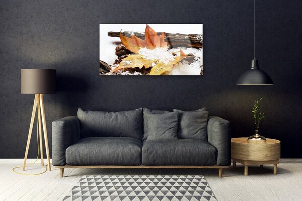 Quadro di vetro Foresta di foglie Autunno Natura 100x50 cm 2 appendini