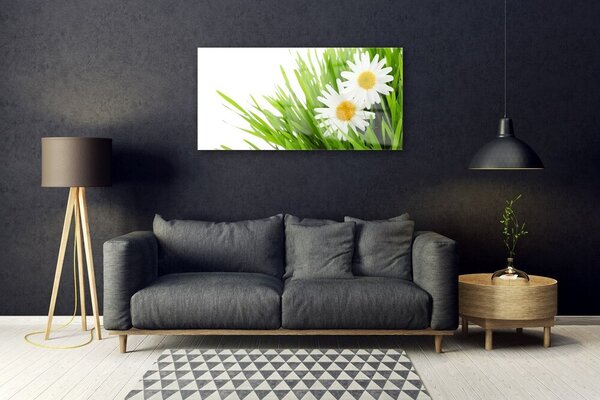 Quadro in vetro Margherita Fiore Natura 100x50 cm 2 appendini
