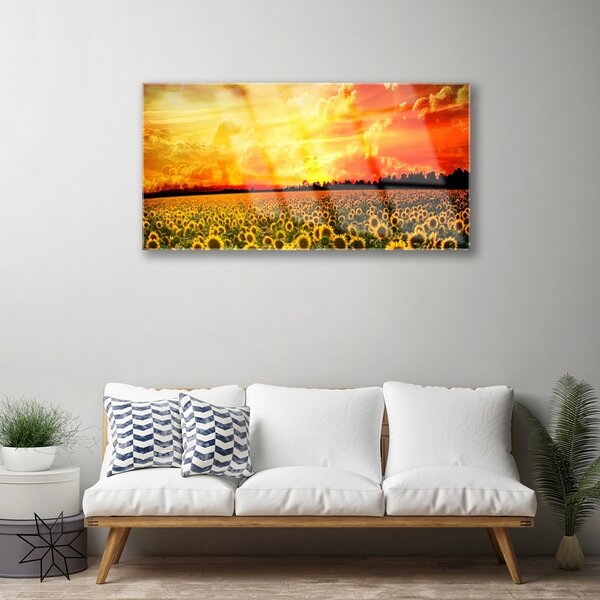 Quadro vetro Girasoli dei prati 100x50 cm 2 appendini