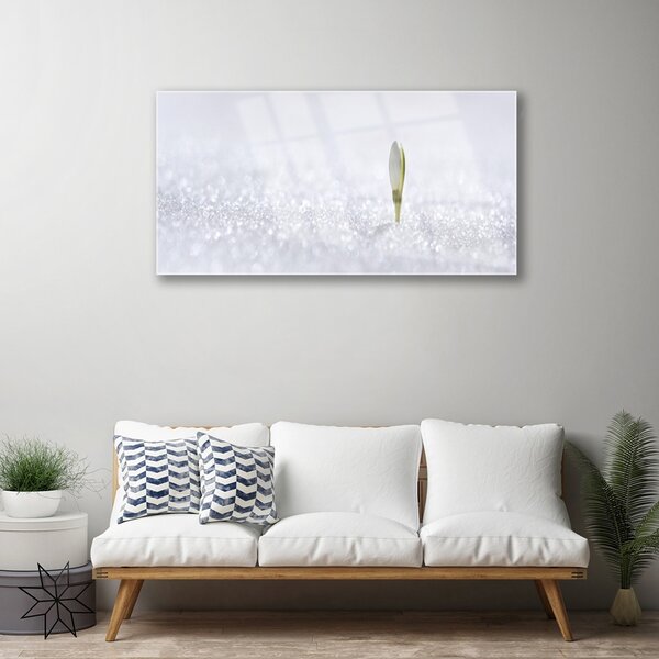 Quadro in vetro Bucaneve d'inverno 100x50 cm 2 appendini