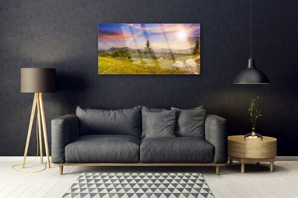 Quadro vetro Montagne Prato Natura Cielo 100x50 cm 2 appendini