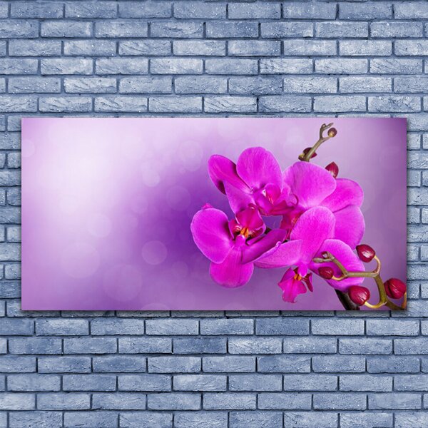 Quadro su tela Petali di fiori di un'orchidea 100x50 cm