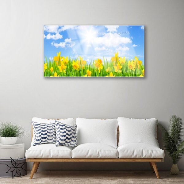 Quadro di vetro Narcisi Prato Erba Natura 100x50 cm 2 appendini