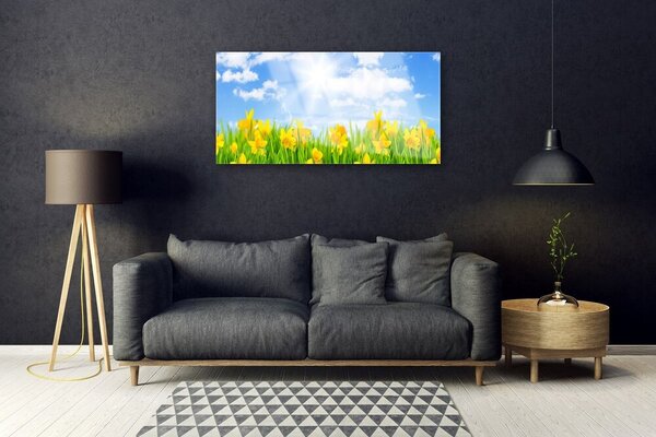 Quadro di vetro Narcisi Prato Erba Natura 100x50 cm 2 appendini