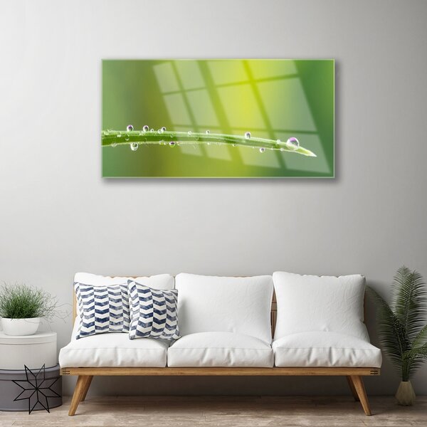 Quadro in vetro Una goccia di rugiada sull'erba 100x50 cm 2 appendini
