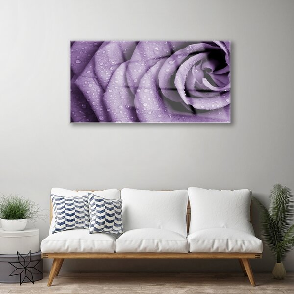 Quadro di vetro Pianta di fiori di rosa 100x50 cm 2 appendini
