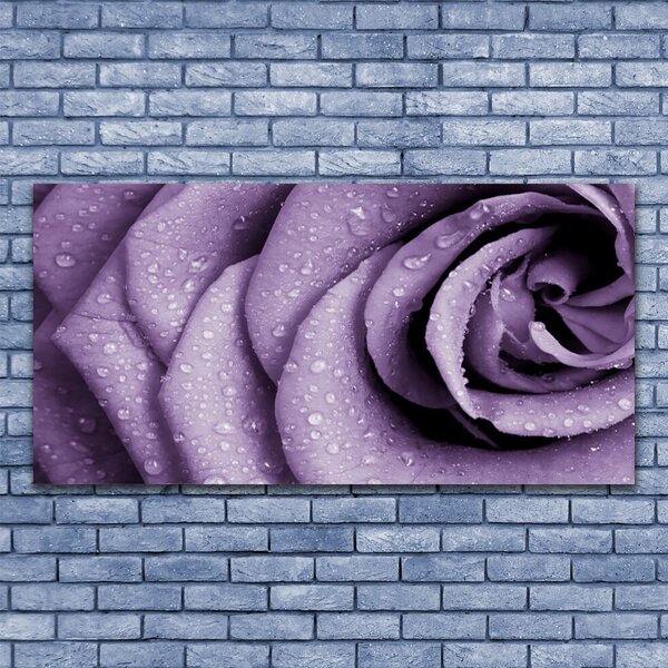 Foto quadro su tela Pianta di fiori di rosa 100x50 cm