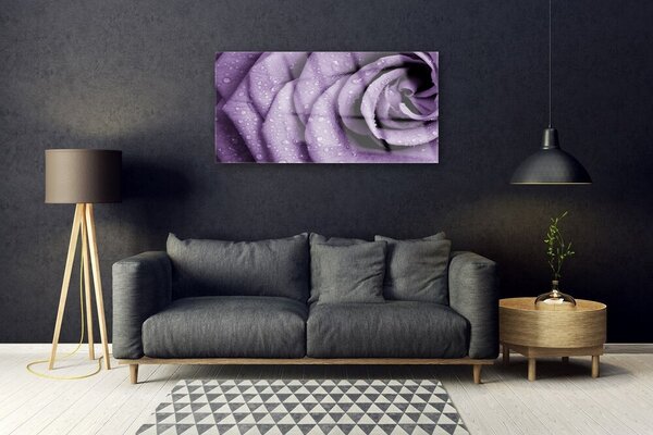 Quadro di vetro Pianta di fiori di rosa 100x50 cm 2 appendini