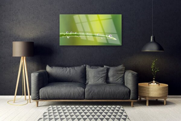 Quadro in vetro Una goccia di rugiada sull'erba 100x50 cm 2 appendini