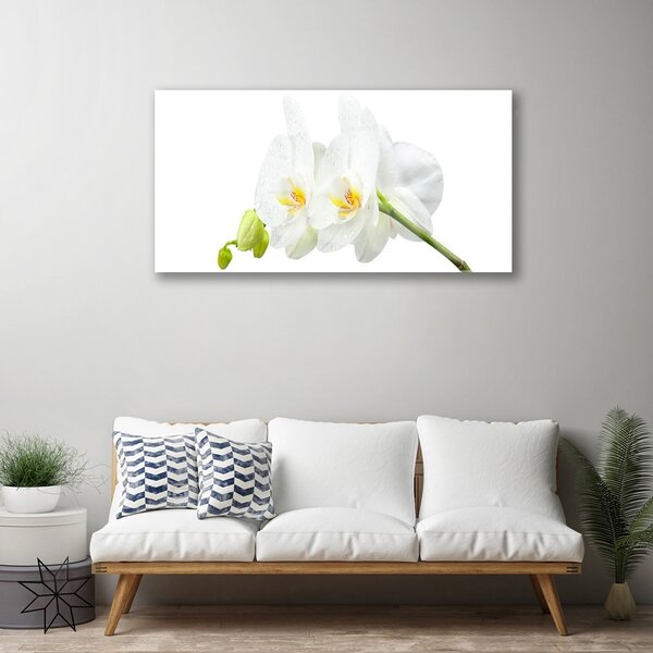 Quadro in vetro Petali di fiori Orchidea bianca 100x50 cm 2 appendini