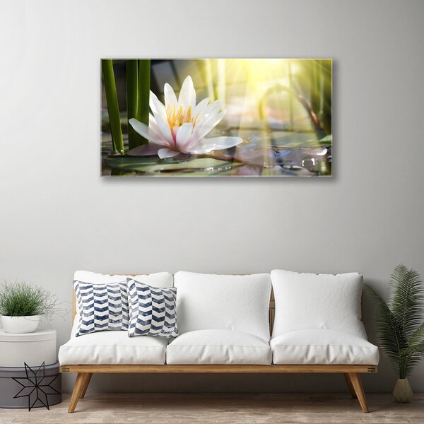 Quadro di vetro Ninfea Sole Stagno 100x50 cm 2 appendini