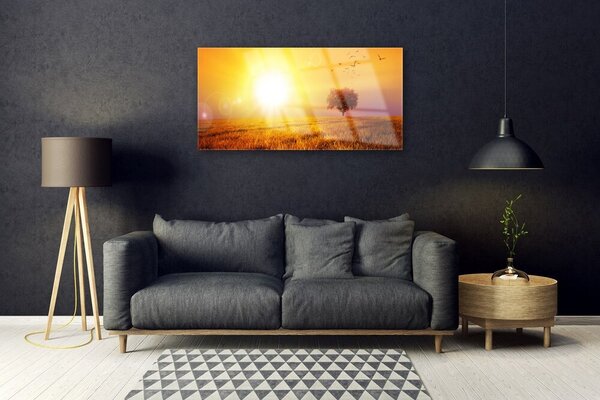 Quadro su vetro Uccelli del prato al tramonto 100x50 cm 2 appendini