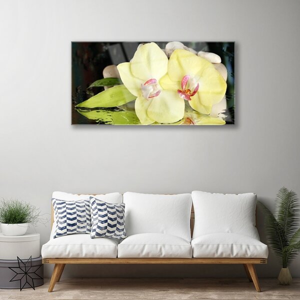 Quadro in vetro Petali di fiori di orchidea 100x50 cm 2 appendini