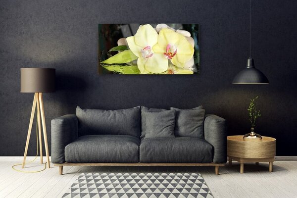 Quadro in vetro Petali di fiori di orchidea 100x50 cm 2 appendini