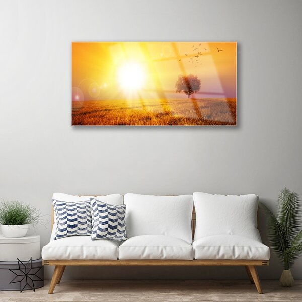 Quadro su vetro Uccelli del prato al tramonto 100x50 cm 2 appendini