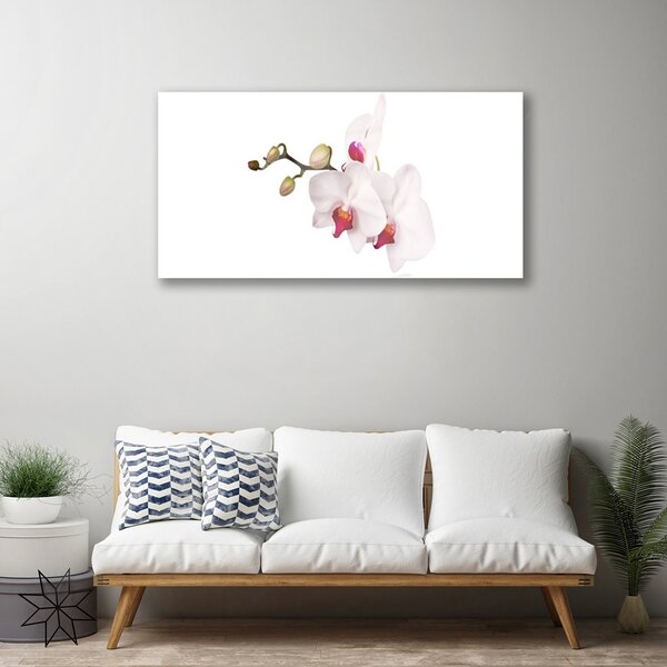 Quadro in vetro Fiori Natura Orchidea 100x50 cm 2 appendini