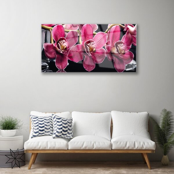Quadro su vetro Fiori Steli di orchidea Natura 100x50 cm 2 appendini