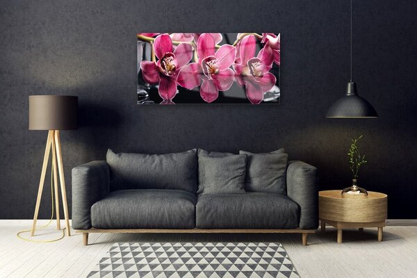 Quadro su vetro Fiori Steli di orchidea Natura 100x50 cm 2 appendini