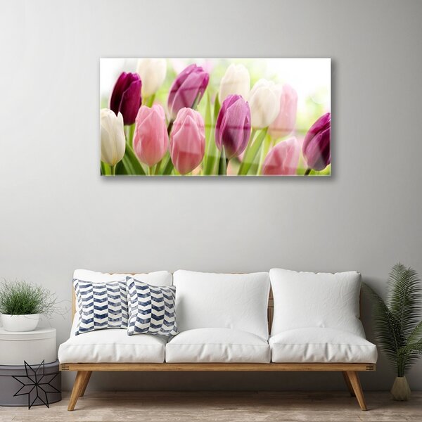 Quadro in vetro Tulipani Fiori Natura Prato 100x50 cm 2 appendini