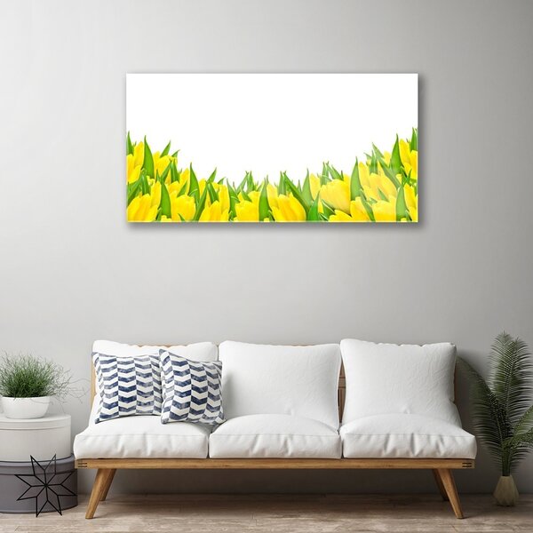 Quadro in vetro Natura fiori Tulipani 100x50 cm 2 appendini