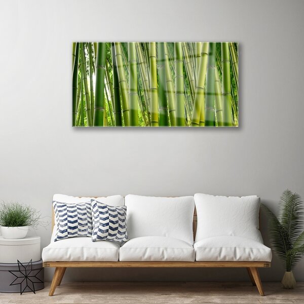 Quadro di vetro Foresta di bambù Germogli di bambù 100x50 cm 2 appendini