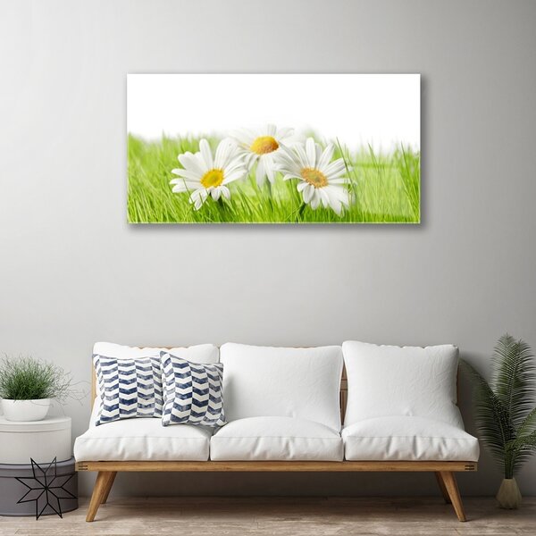 Quadro in vetro Pianta di fiori di margherita 100x50 cm 2 appendini
