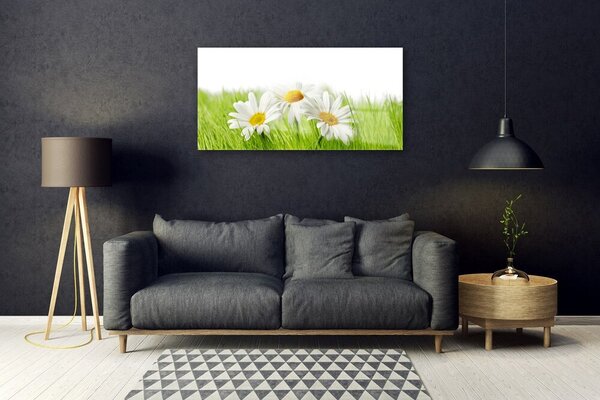 Quadro in vetro Pianta di fiori di margherita 100x50 cm 2 appendini
