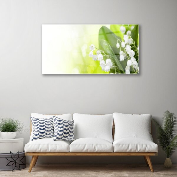 Quadro in vetro Mughetto Fiori di foglie Prato 100x50 cm 2 appendini
