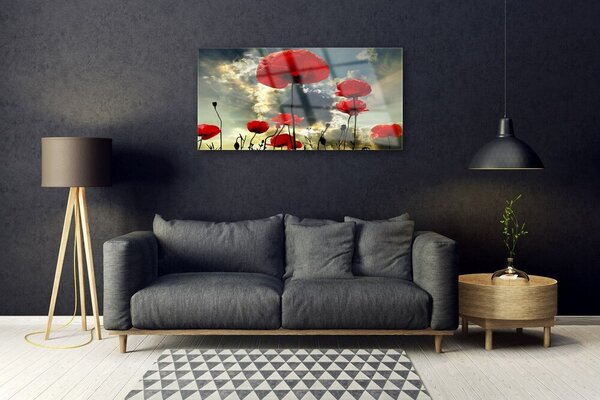 Quadro in vetro Papaveri Pianta Naturale 100x50 cm 2 appendini