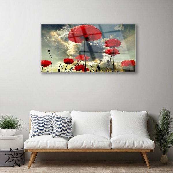 Quadro in vetro Papaveri Pianta Naturale 100x50 cm 2 appendini