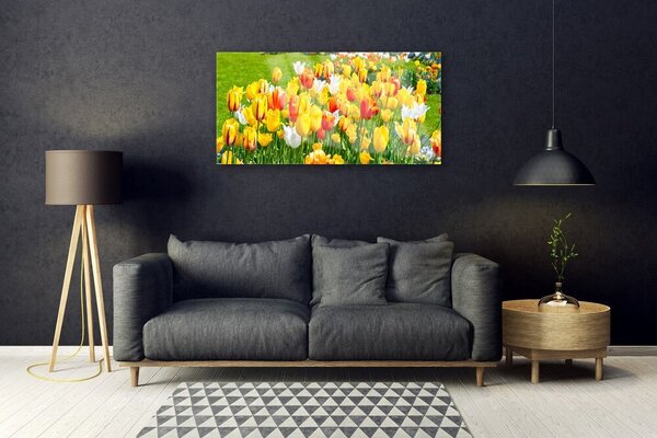 Quadro in vetro Tulipani Fiori della natura 100x50 cm 2 appendini