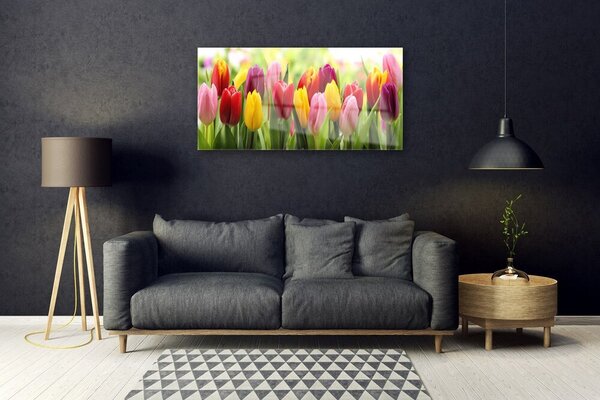 Quadro vetro Tulipani Fiori della natura 100x50 cm 2 appendini