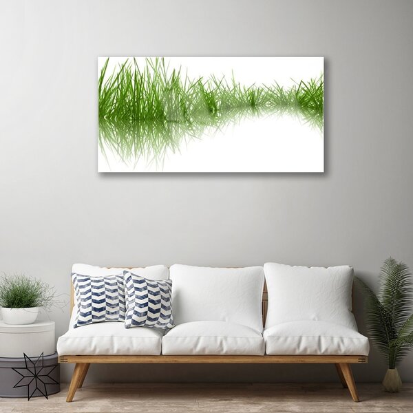 Quadro su vetro Erba Natura Pianta 100x50 cm 2 appendini