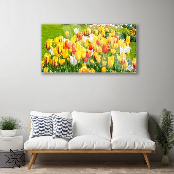 Quadro in vetro Tulipani Fiori della natura 100x50 cm 2 appendini