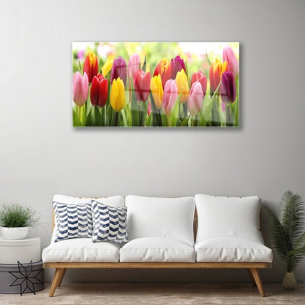 Quadro vetro Tulipani Fiori della natura 100x50 cm 2 appendini