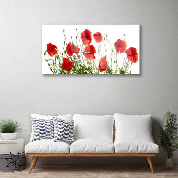 Quadro in vetro Papaveri Pianta Naturale 100x50 cm 2 appendini